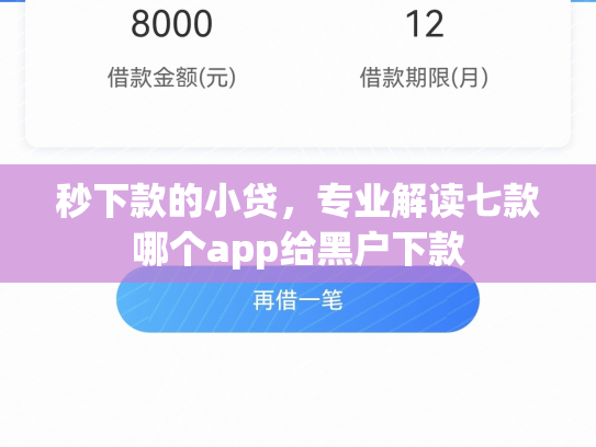 秒下款的小贷，专业解读七款哪个app给黑户下款