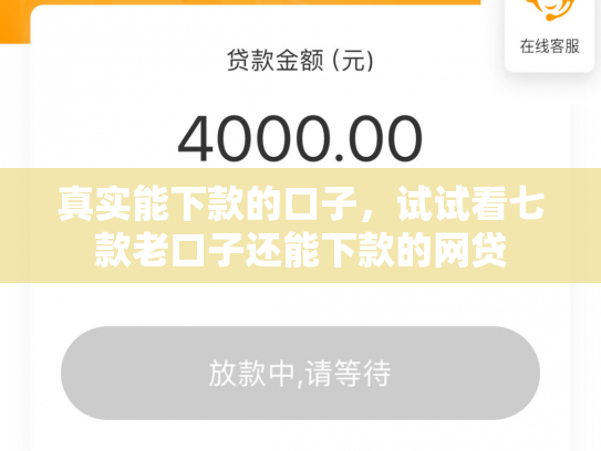 真实能下款的口子，试试看七款老口子还能下款的网贷