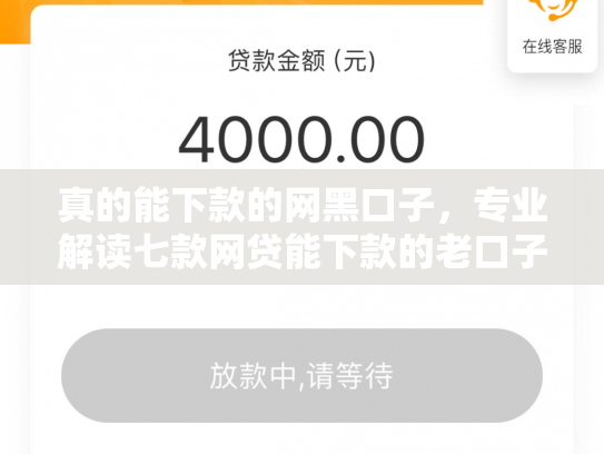 真的能下款的网黑口子，专业解读七款网贷能下款的老口子