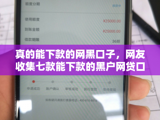 真的能下款的网黑口子，网友收集七款能下款的黑户网贷口子