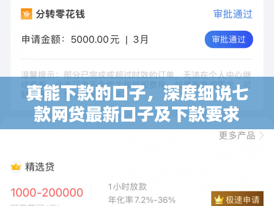 真能下款的口子，深度细说七款网贷最新口子及下款要求