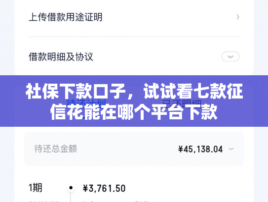 社保下款口子，试试看七款征信花能在哪个平台下款