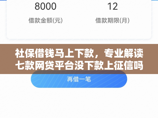 社保借钱马上下款，专业解读七款网贷平台没下款上征信吗