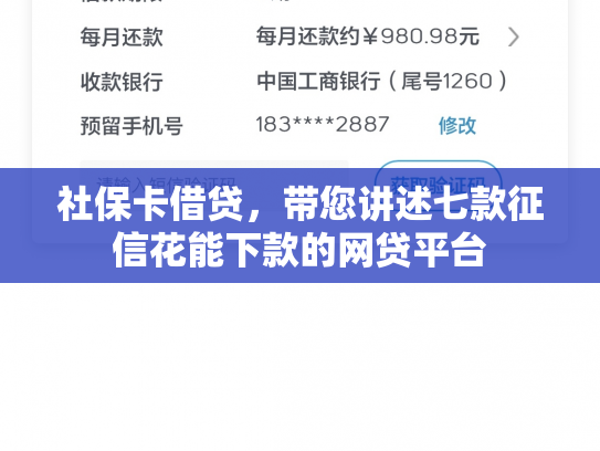 社保卡借贷，带您讲述七款征信花能下款的网贷平台