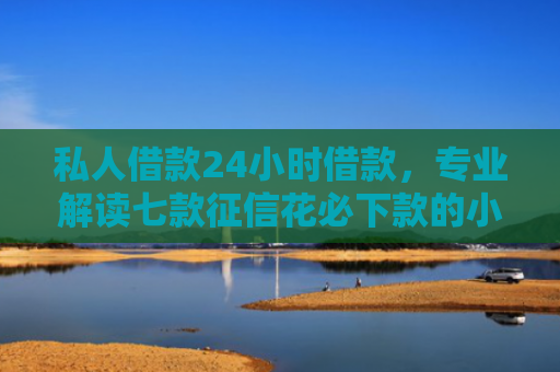私人借款24小时借款，专业解读七款征信花必下款的小额贷款
