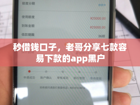 秒借钱口子，老哥分享七款容易下款的app黑户