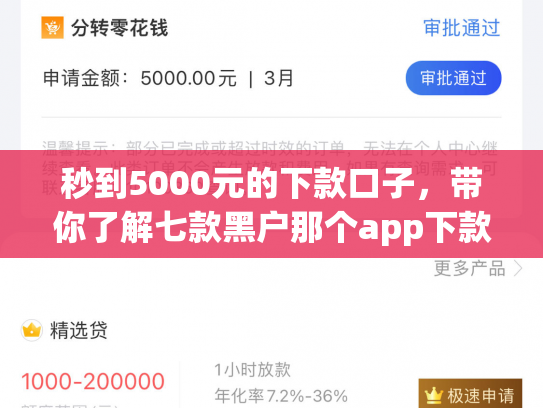 秒到5000元的下款口子，带你了解七款黑户那个app下款