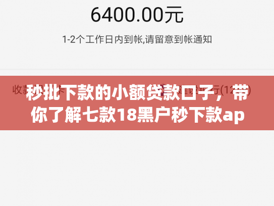 秒批下款的小额贷款口子，带你了解七款18黑户秒下款app