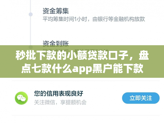 秒批下款的小额贷款口子，盘点七款什么app黑户能下款