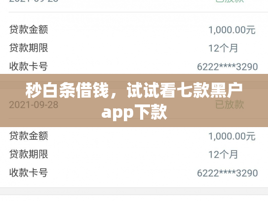 秒白条借钱，试试看七款黑户app下款