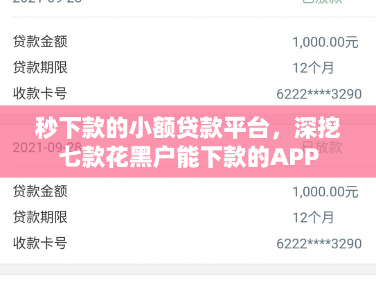 秒下款的小额贷款平台，深挖七款花黑户能下款的APP
