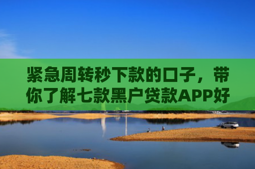 紧急周转秒下款的口子，带你了解七款黑户贷款APP好下款