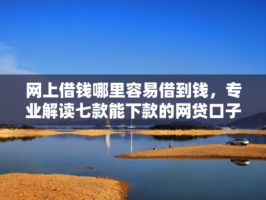 网上借钱哪里容易借到钱，专业解读七款能下款的网贷口子
