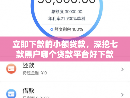 立即下款的小额贷款，深挖七款黑户哪个贷款平台好下款