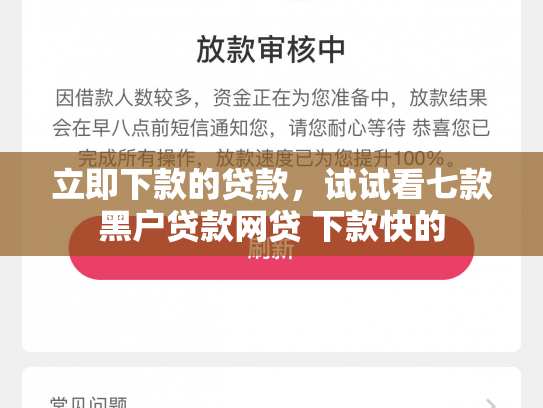 立即下款的贷款，试试看七款黑户贷款网贷 下款快的