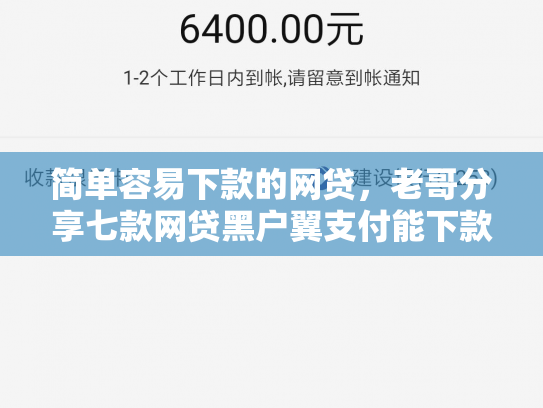 简单容易下款的网贷，老哥分享七款网贷黑户翼支付能下款吗