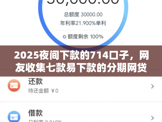 2025夜间下款的714口子，网友收集七款易下款的分期网贷口子