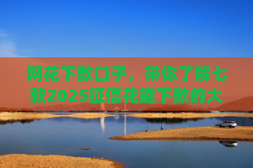 网花下款口子，带你了解七款2025征信花能下款的大额分期app