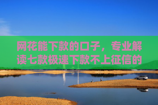 网花能下款的口子，专业解读七款极速下款不上征信的app有什么