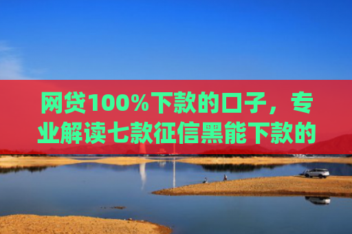 网贷100%下款的口子，专业解读七款征信黑能下款的app