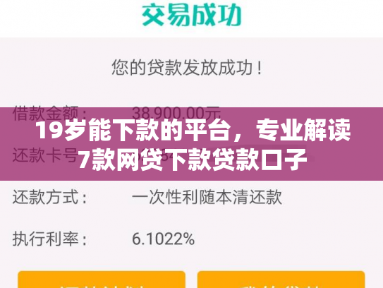 19岁能下款的平台，专业解读7款网贷下款贷款口子