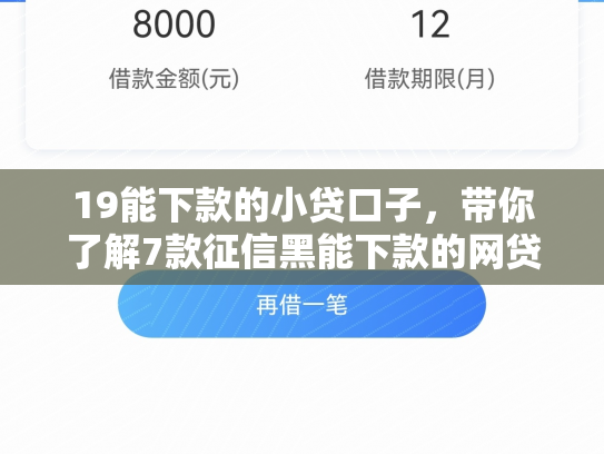19能下款的小贷口子，带你了解7款征信黑能下款的网贷口子