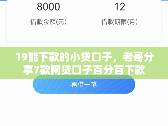 19能下款的小贷口子，老哥分享7款网贷口子百分百下款
