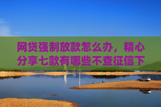 网贷强制放款怎么办，精心分享七款有哪些不查征信下款快的app