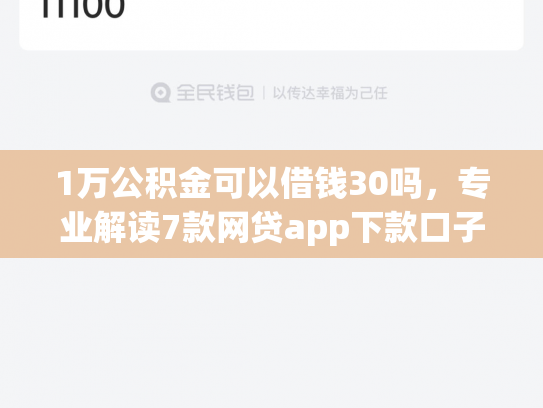 1万公积金可以借钱30吗，专业解读7款网贷app下款口子