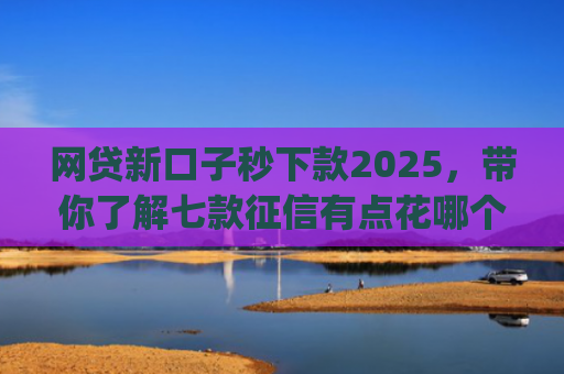 网贷新口子秒下款2025，带你了解七款征信有点花哪个app可以下款