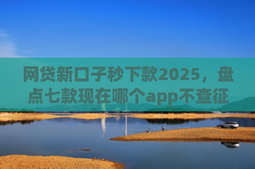 网贷新口子秒下款2025，盘点七款现在哪个app不查征信还能下款