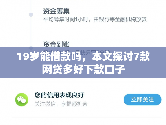 19岁能借款吗，本文探讨7款网贷多好下款口子