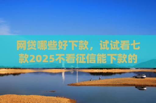 网贷哪些好下款，试试看七款2025不看征信能下款的app
