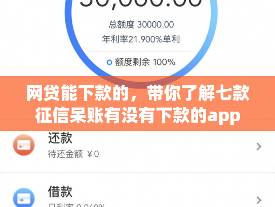 网贷能下款的，带你了解七款征信呆账有没有下款的app