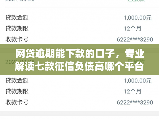 网贷逾期能下款的口子，专业解读七款征信负债高哪个平台好下款app