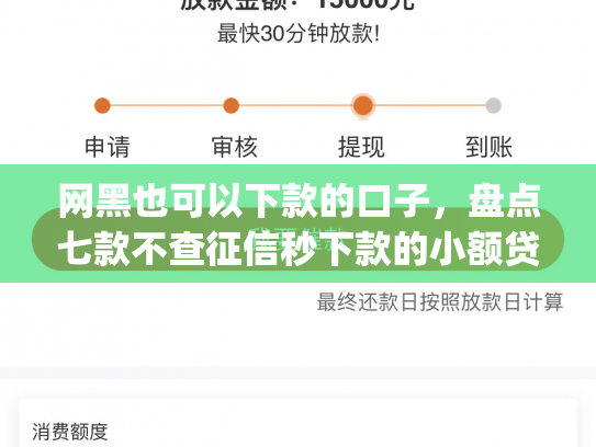 网黑也可以下款的口子，盘点七款不查征信秒下款的小额贷款app