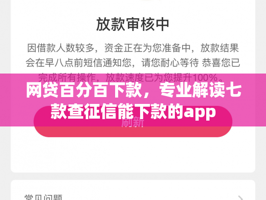 网贷百分百下款，专业解读七款查征信能下款的app