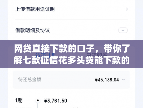 网贷直接下款的口子，带你了解七款征信花多头贷能下款的app