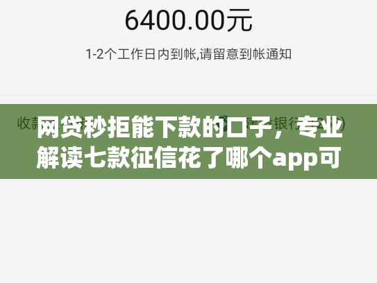 网贷秒拒能下款的口子，专业解读七款征信花了哪个app可以下款