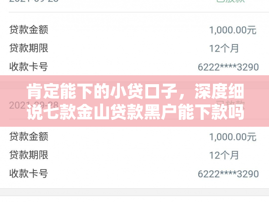 肯定能下的小贷口子，深度细说七款金山贷款黑户能下款吗