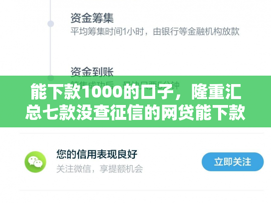 能下款1000的口子，隆重汇总七款没查征信的网贷能下款吗