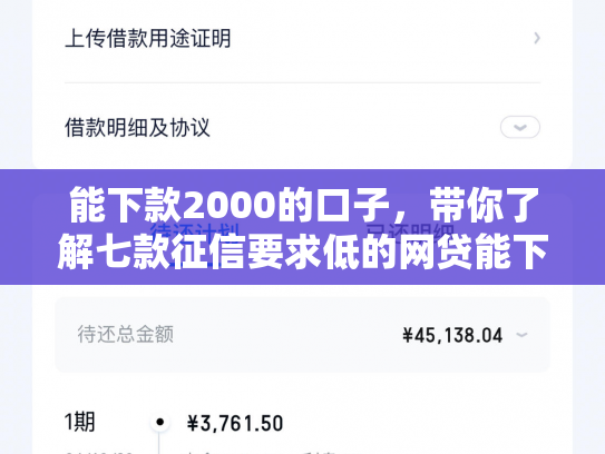 能下款2000的口子，带你了解七款征信要求低的网贷能下款吗