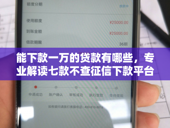 能下款一万的贷款有哪些，专业解读七款不查征信下款平台