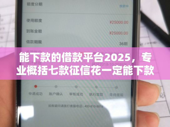 能下款的借款平台2025，专业概括七款征信花一定能下款的网贷