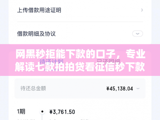 网黑秒拒能下款的口子，专业解读七款拍拍贷看征信秒下款的app