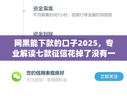 网黑能下款的口子2025，专业解读七款征信花掉了没有一家app下款