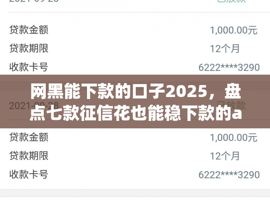 网黑能下款的口子2025，盘点七款征信花也能稳下款的app入口