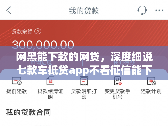 网黑能下款的网贷，深度细说七款车抵贷app不看征信能下款吗