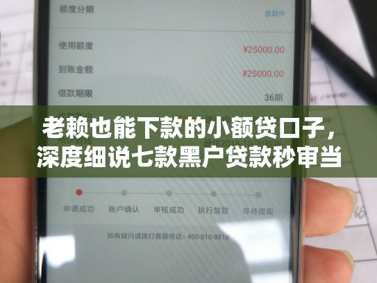 老赖也能下款的小额贷口子，深度细说七款黑户贷款秒审当场下款