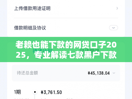 老赖也能下款的网贷口子2025，专业解读七款黑户下款快的贷款软件